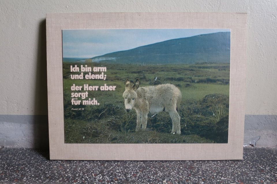 Abweg>Holzweg – Eine Antwort auf den Text “alea auf Abwegen?”